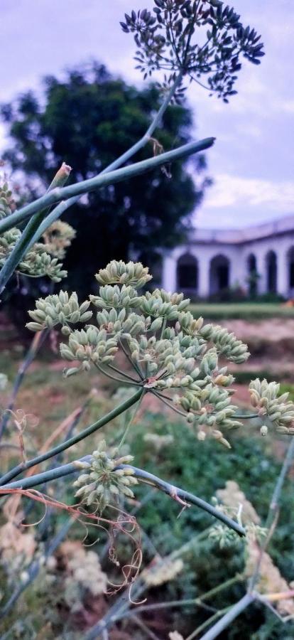شقة Royal Farm بهاراتبور المظهر الخارجي الصورة